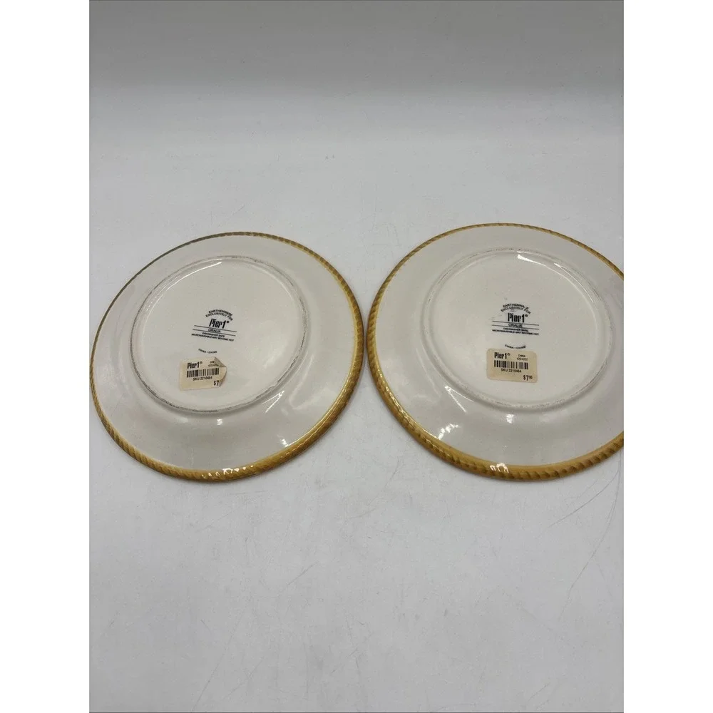Set Of 2 Pier 1 Oralia Salad Plates 8 5/8